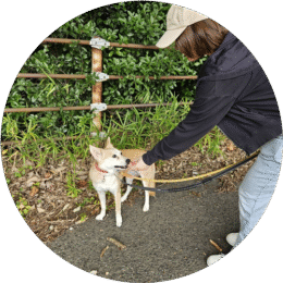 さかもとはるか