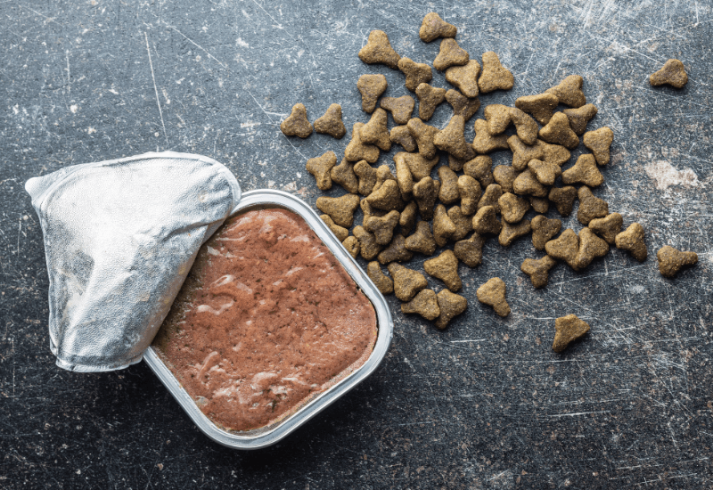 ウェットフードとドライフード