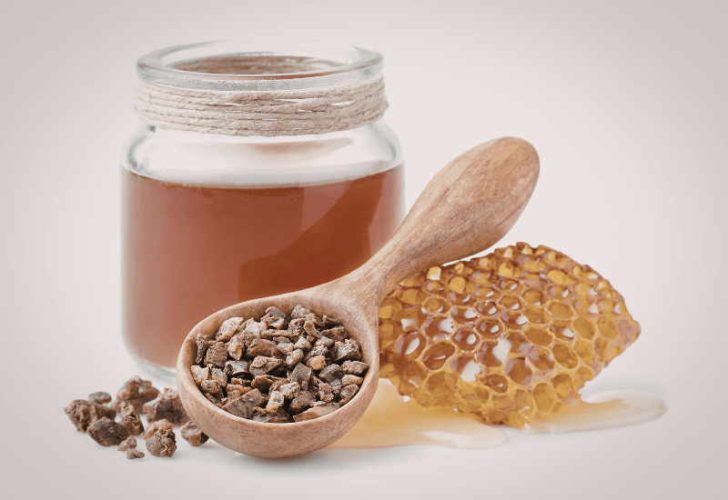 老犬におすすめのプロポリス